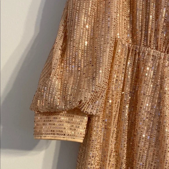 Elegant Gold Sequin Dress - Picture 5 of 8